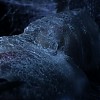 0548.jpg