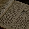 0691.jpg