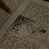0697.jpg