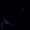 0891.jpg