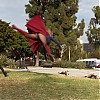 0475.jpg