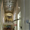 1005.jpg