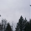 0021.jpg