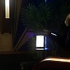 0659.jpg