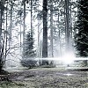 Filename=0339.jpg
Filesize=498KiB
Dimensions=1920x1080
Date added=Jun 28, 2018 0339.jpg