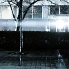 0540.jpg