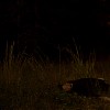 0048.jpg