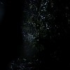 0523.jpg