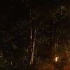0490.jpg