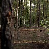 0181.jpg