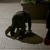 0716.jpg