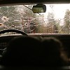 Filename=T109-00025.jpg
Filesize=249KiB
Dimensions=1920x1080
Date added=May 13, 2018 T109-00025.jpg