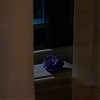 0155.jpg